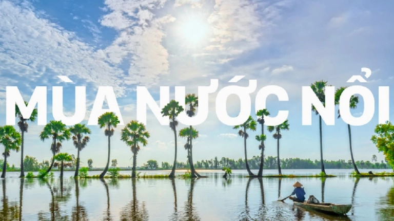 Mùa Nước Nổi Miền Tây Tháng Mấy? Khám Phá Thời Điểm Lý Tưởng Nhất