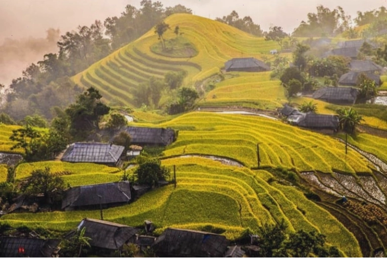 Mùa thu Hà Giang đẹp như tranh vẽ với sắc vàng rực rỡ