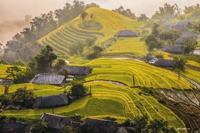 Mùa thu tuyệt đẹp trên cao nguyên đá Hà Giang