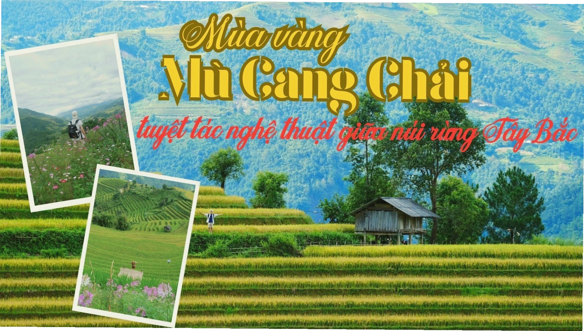 Mùa vàng Mù Cang Chải - tuyệt tác nghệ thuật giữa núi rừng Tây Bắc