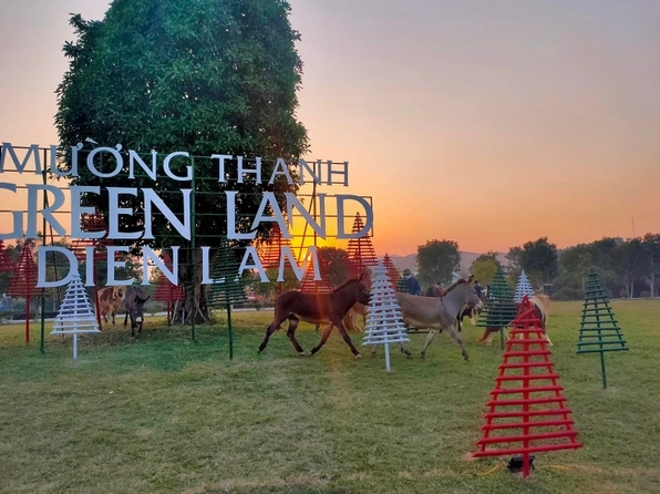 Mường Thanh Luxury Diễn Lâm: Trải nghiệm nghỉ dưỡng 5 sao tại Nghệ An
