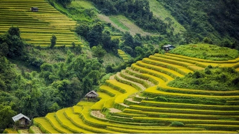 Nét đẹp bình dị của làng quê Việt Nam