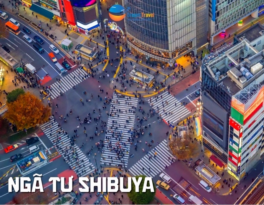 Ngã tư Shibuya nhộn nhịp về đêm