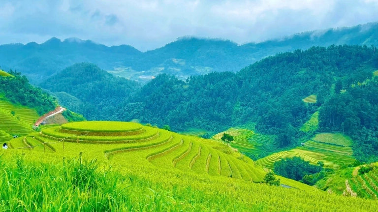 Ngắm nhìn vẻ đẹp mê hồn của ảnh đẹp Mù Cang Chải mùa lúa chín