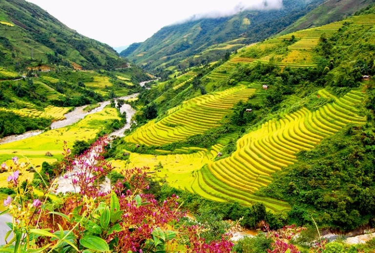 Ngắm nhìn vẻ đẹp quê hương Việt Nam qua những hình ảnh lay động lòng người