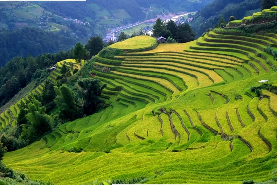 Nghệ nhân biểu diễn Khèn Mông tại Mù Cang Chải