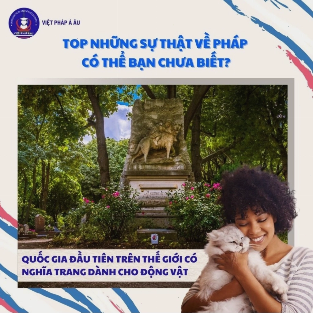 NGHĨA TRANG DÀNH CHO ĐỘNG VẬT