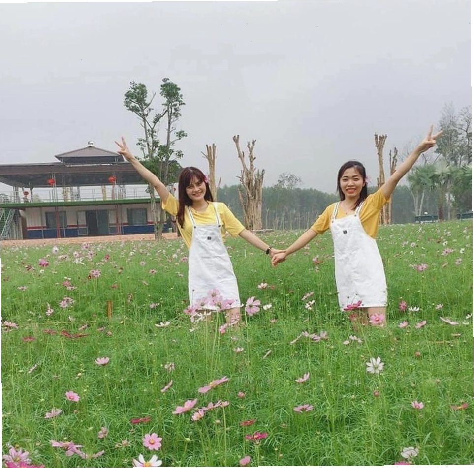 Ngôi nhà hoa hồng độc đáo tại Thung lũng hoa Phủ Quỳ Nghệ An