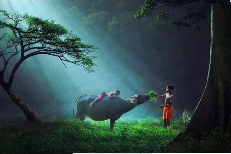 Ngôi nhà nhỏ giữa cánh đồng