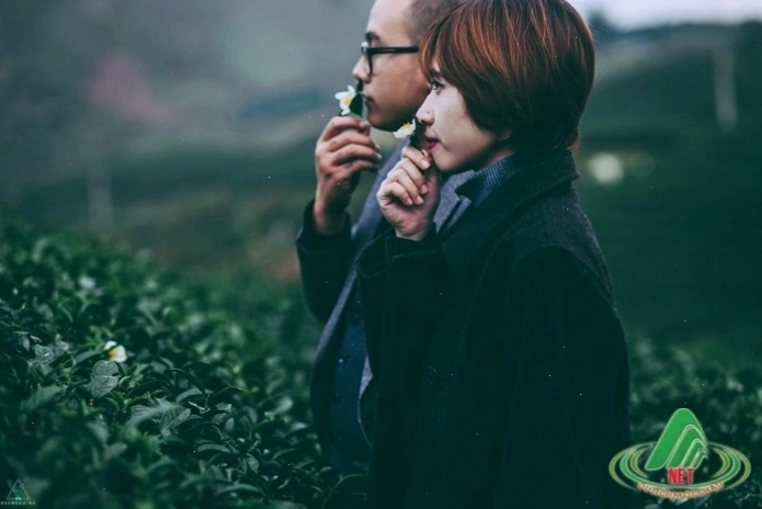 Ngôi nhà nhỏ giữa Mộc Châu