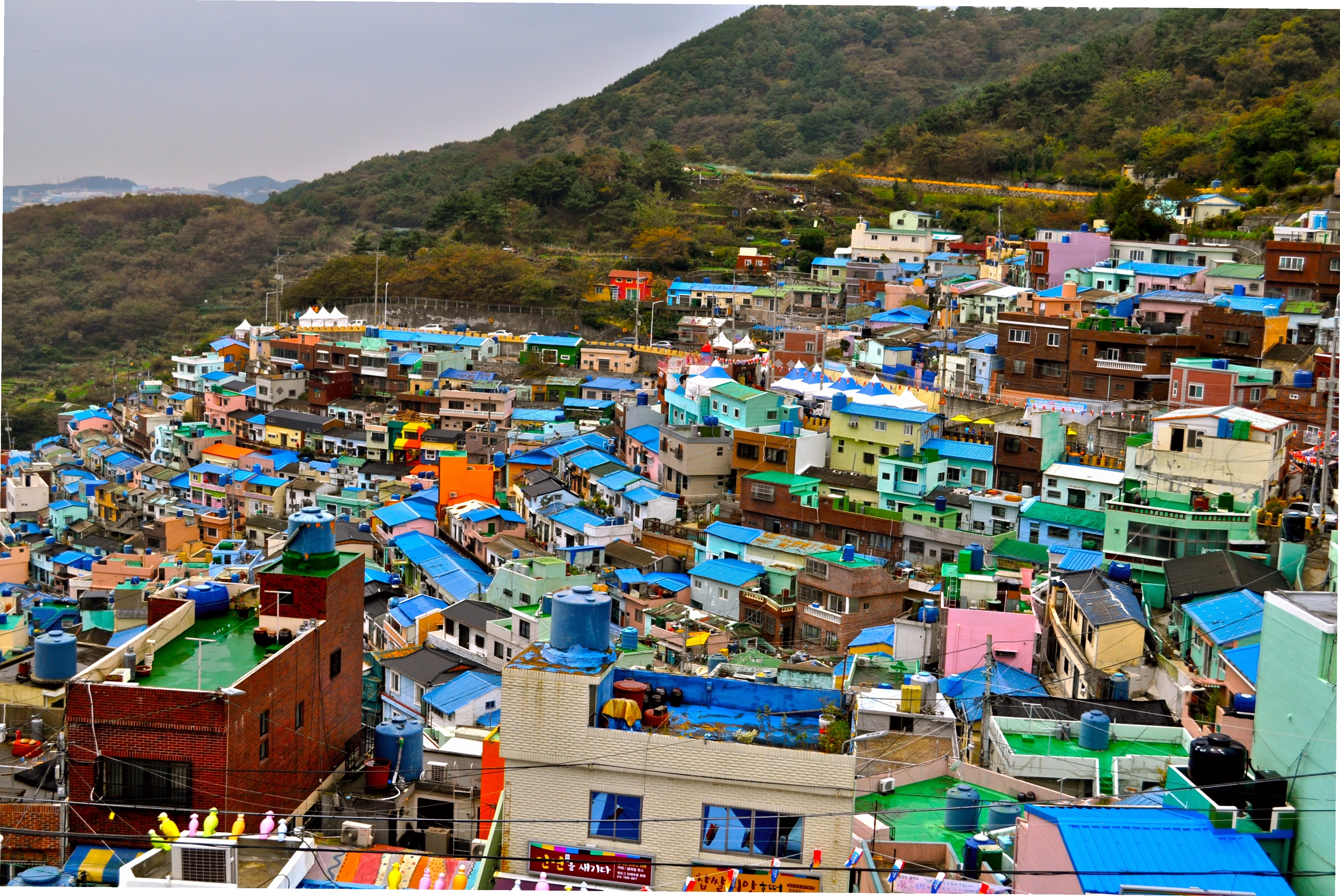 Người dân địa phương tại Busan