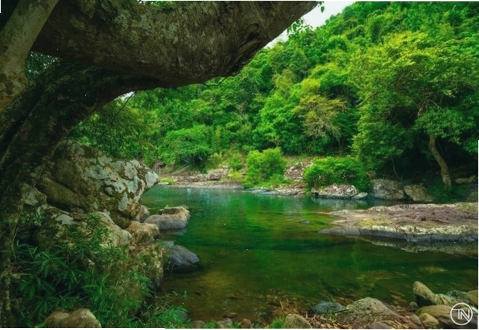 Người dân địa phương tham gia hoạt động bảo vệ rừng tại Tây Yên Tử