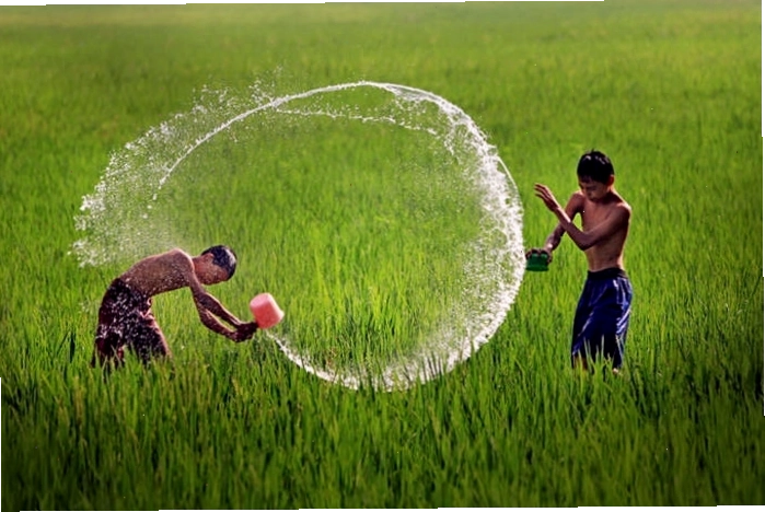 Người dân lao động trên cánh đồng