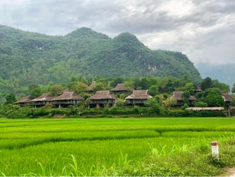 Người dân tộc Thái trắng biểu diễn múa xòe tại Bản Lác.