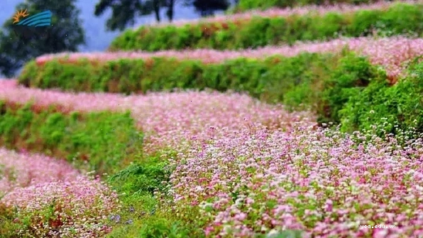 Người dân tộc thiểu số quây quần bên bếp lửa ấm áp trong đêm đông Hà Giang