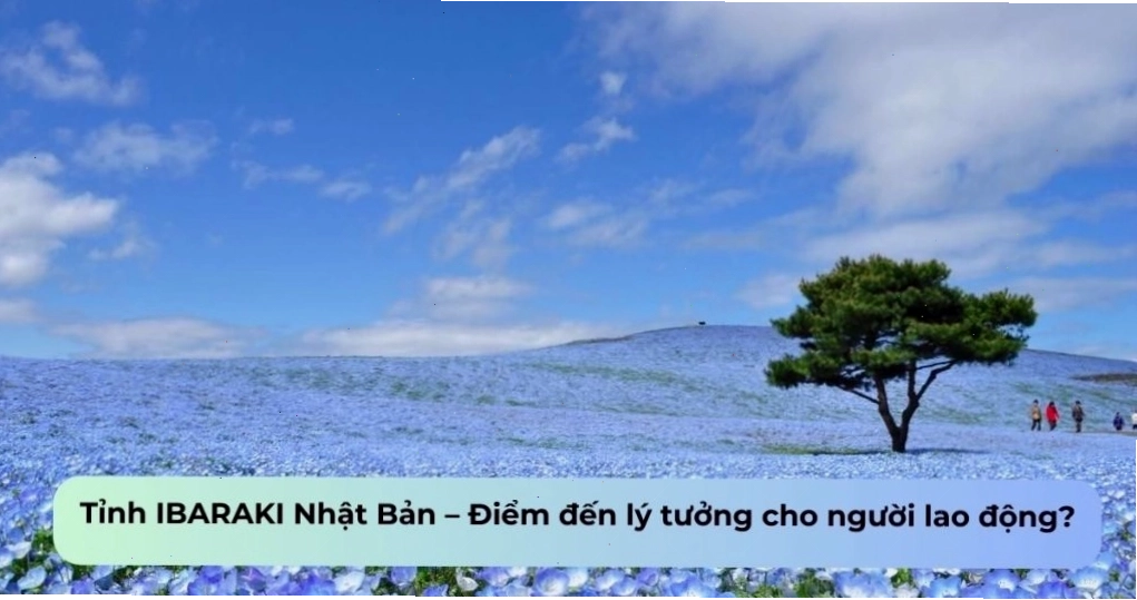 Người lao động Việt Nam làm việc tại Ibaraki Nhật Bản