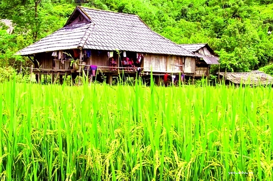 Nhà hàng của Nhà khách Đồng Tâm
