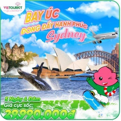 Nhà hát Con Sò Sydney Opera House về đêm lung linh