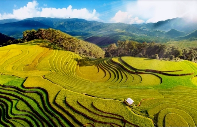 Nhà khách Hào Gia Yên Bái