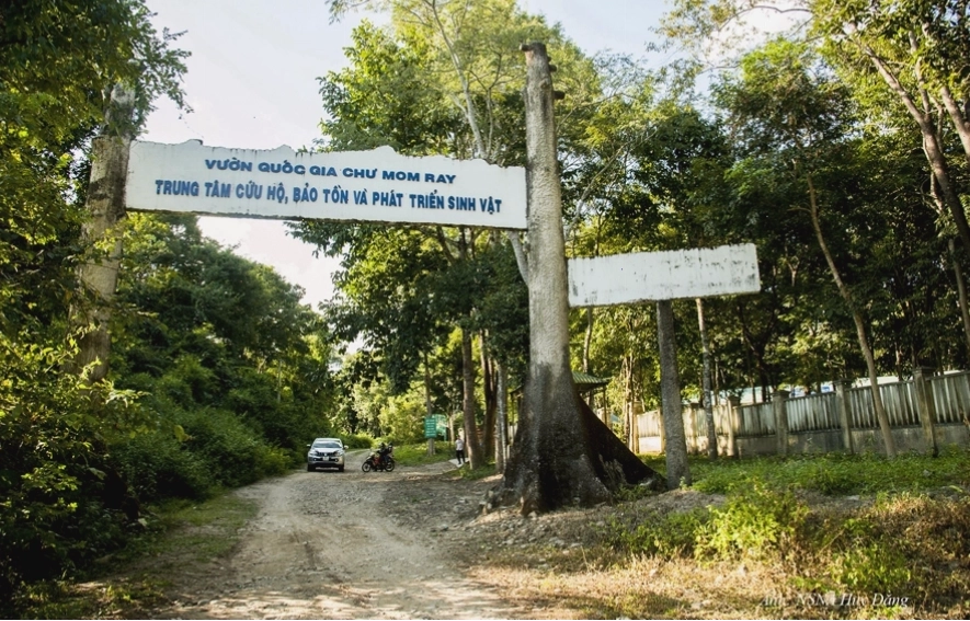 Nhà Rông Kon Klor với mái nhà cao vút đặc trưng của dân tộc Ba Na