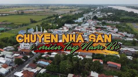 Nhà Sàn Miền Tây Nam Bộ: Nét Đẹp Văn Hóa và Lựa Chọn Thông Minh Cho Homestay