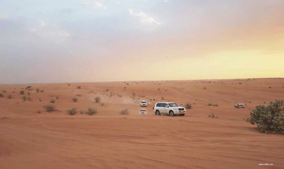 Nhà thờ Hồi giáo Sheikh Zayed - công trình kiến trúc nổi bật tại UAE