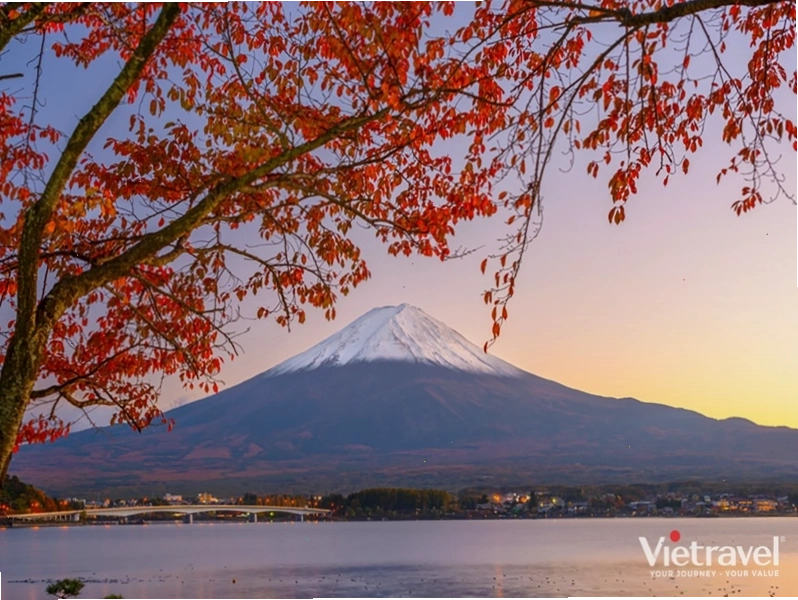 Nhật Bản: Tokyo – Núi Phú Sĩ – Kyoto – Osaka - Trải nghiệm shinkansen & trà đạo, thưởng thức bò Wagyu, xem biểu diễn Geisha