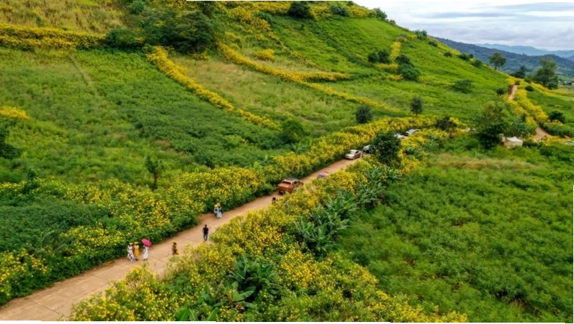 Nhiều cặp đôi lựa chọn Chư Đang Ya để chụp ảnh kỷ niệm