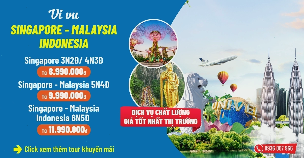 Nhiều chậu hoa súng đang phát triển tốt