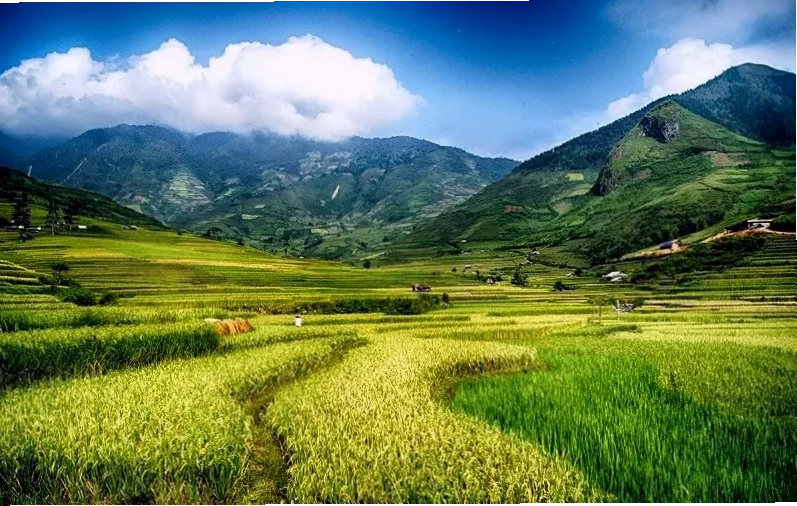 Những cô gái Thái trong trang phục truyền thống biểu diễn điệu Xòe
