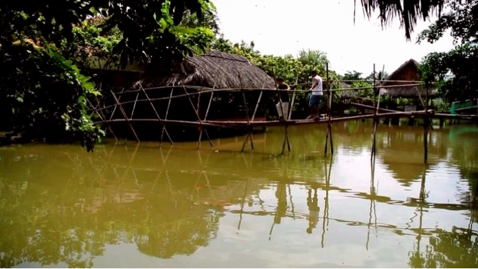 Những con đường quê mộc mạc dưới bóng cây cổ thụ