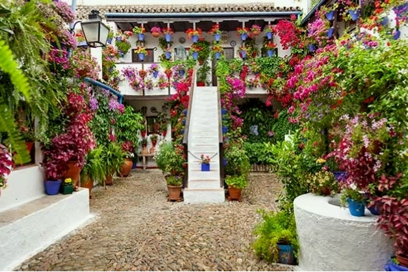 Những con hẻm nhỏ đầy hoa ở khu phố Patio, Córdoba