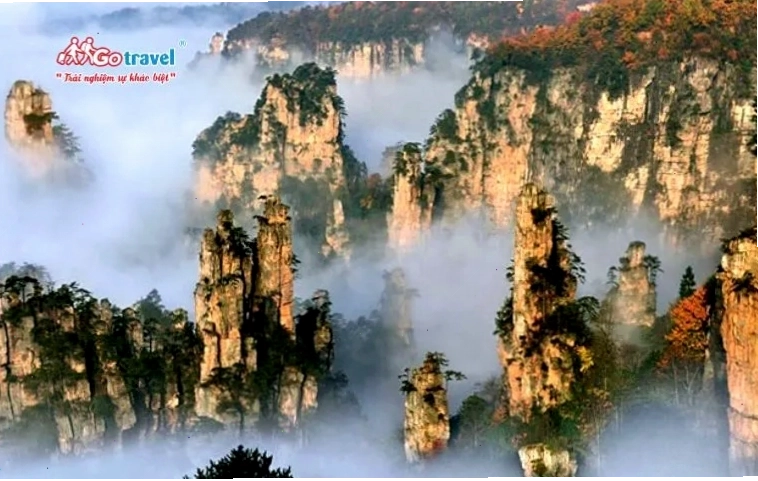 Những cột đá vôi kỳ vĩ của Trương Gia Giới chìm trong mây mù