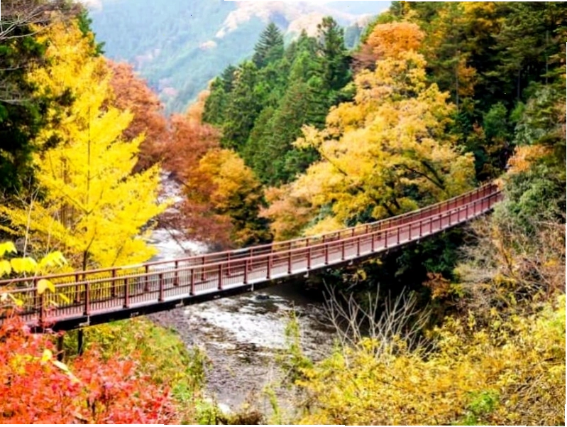 Những đồi chè xanh mướt tại Shizuoka
