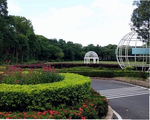 Những khối đá với hình thù kỳ lạ được kiến tạo qua hàng triệu năm tại công viên địa chất Dã Liễu