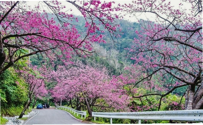 Những lời chúc tốt đẹp đầu năm mới