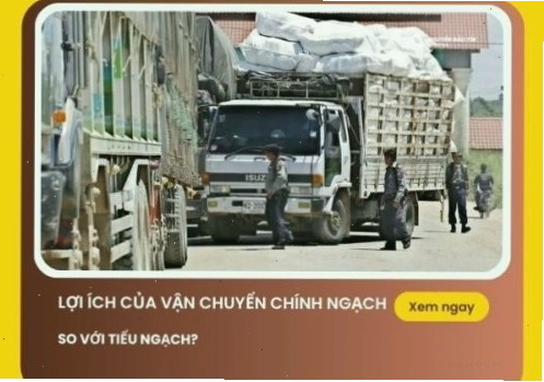 Những lợi ích của vận chuyển chính ngạch so với tiểu ngạch