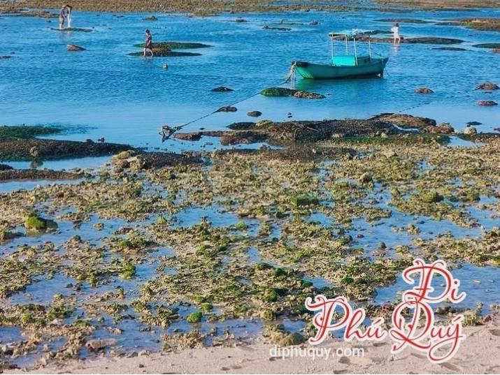 Những tảng đá có hình thù kỳ thú tại Vũng Phật, Hòn Tranh