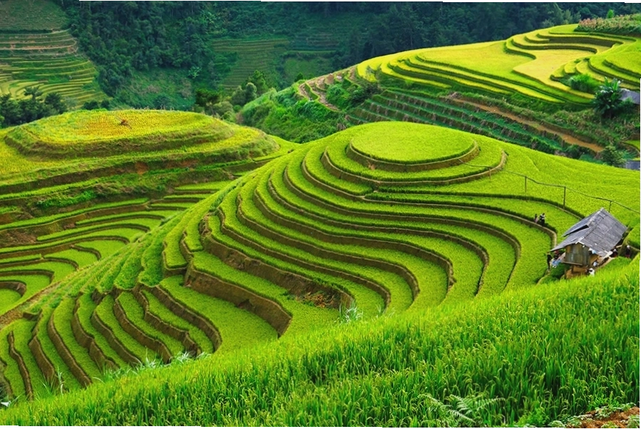 Những thửa ruộng bậc thang Mù Cang Chải xếp lớp đẹp như tranh vẽ