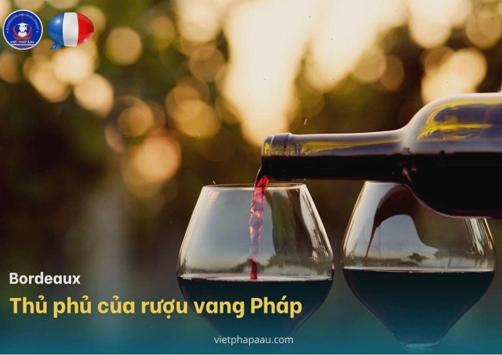 Những vườn nho xanh mướt trải dài tại vùng Bordeaux Pháp
