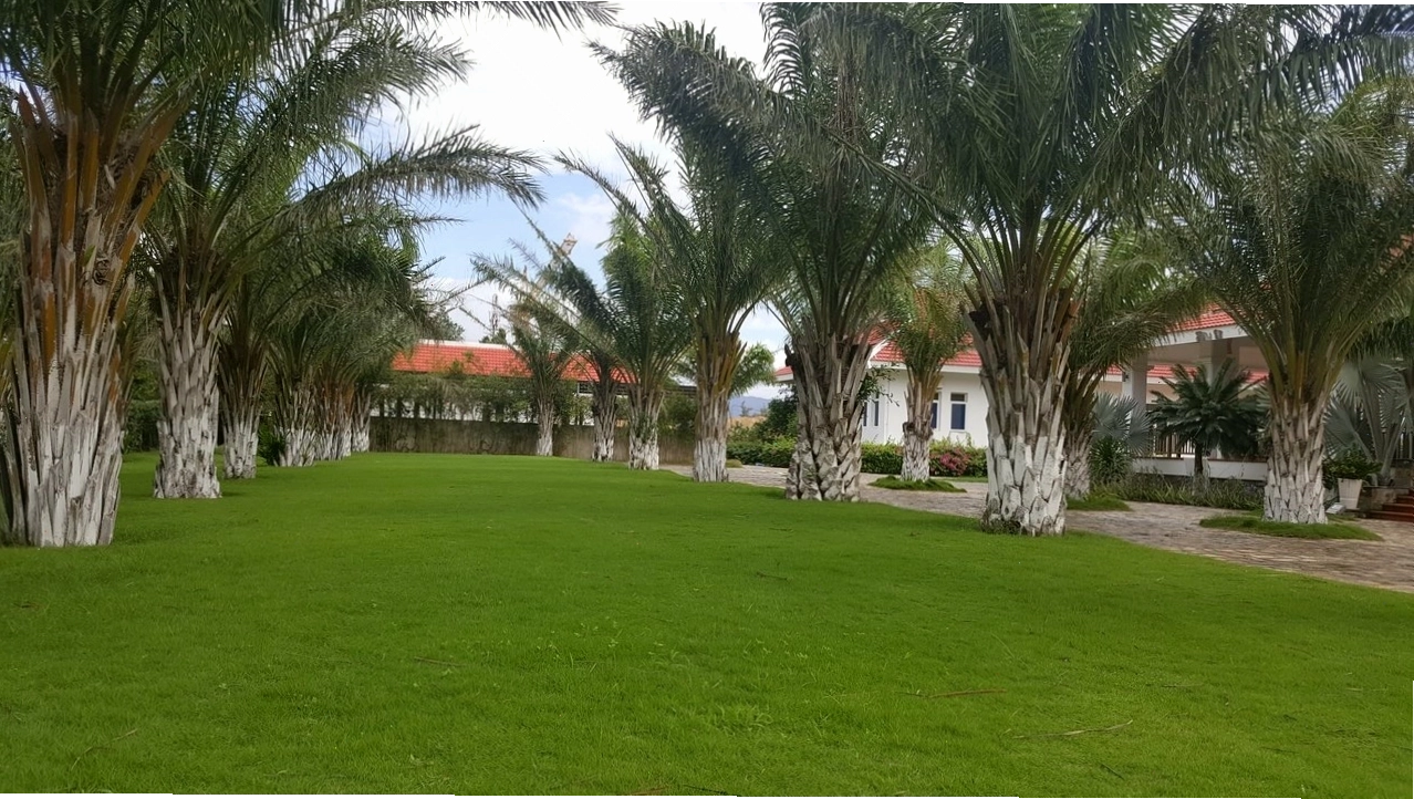 Ninh Thuận Retreat - Phòng nghỉ tiện nghi
