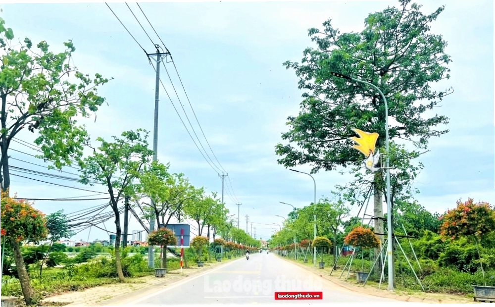 Núi Chùa Yên Mỹ - Không gian xanh mát và lịch sử