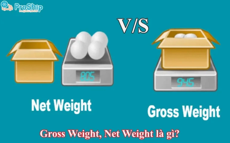 NW là gì? Giải mã Net Weight trong xuất nhập khẩu và logistics