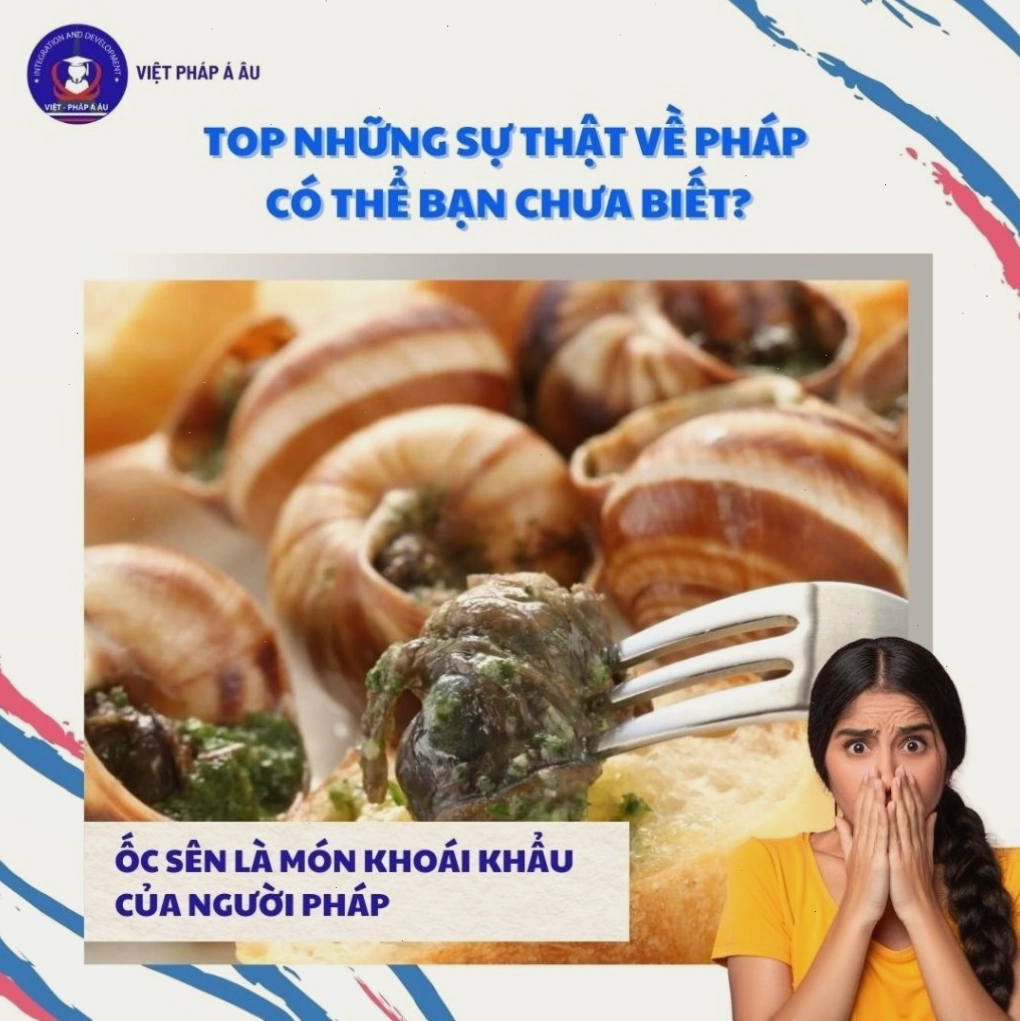 ỐC SÊN LÀ MÓN KHOÁI KHẨU CỦA NGƯỜI PHÁP