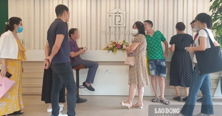 Oh Vacation: Đánh Giá Công Ty và Hành Trình 07 Năm Hoạt Động