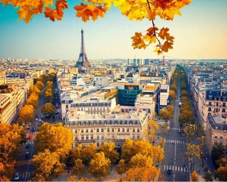 Paris mùa thu tràn ngập trong sắc vàng đầy nên thơ
