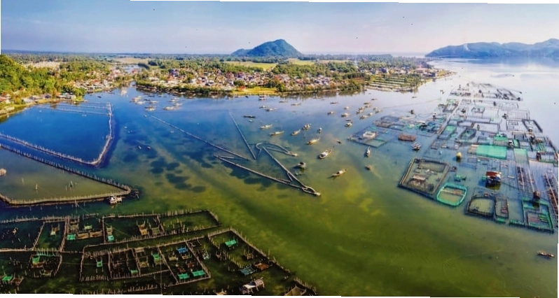 Phá Tam Giang: Vẻ đẹp mơ mộng giữa ráng chiều xứ Huế 2