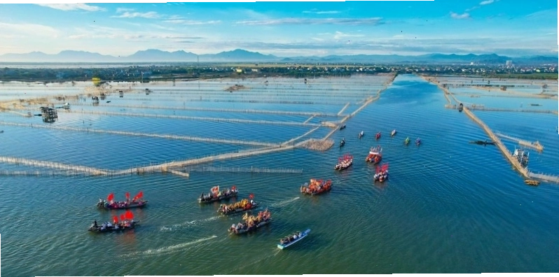 Phá Tam Giang: Vẻ đẹp mơ mộng giữa ráng chiều xứ Huế 3