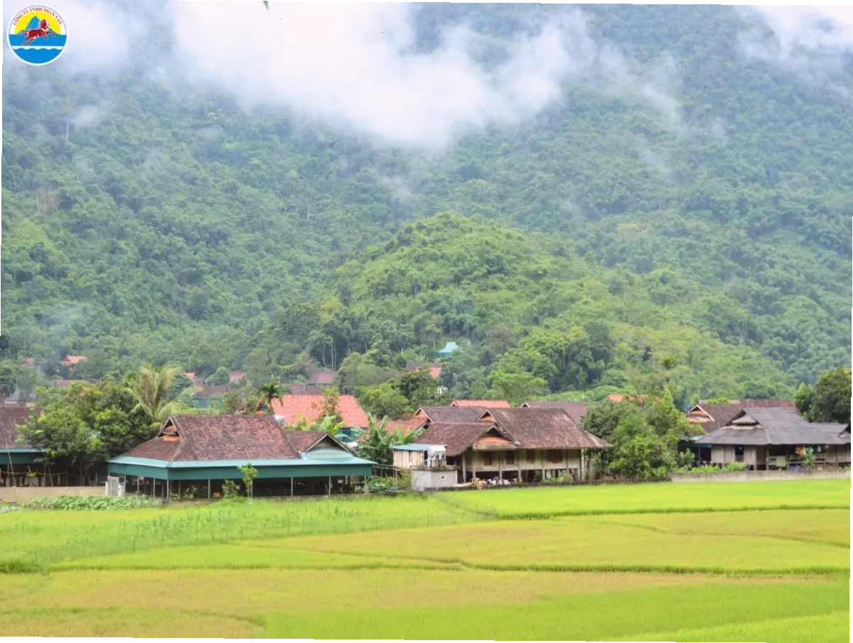 Phan Văn Travel cung cấp tour du lịch Quế Phong