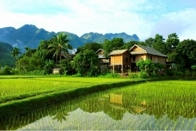 Phiên chợ vùng cao Mai Châu nhộn nhịp